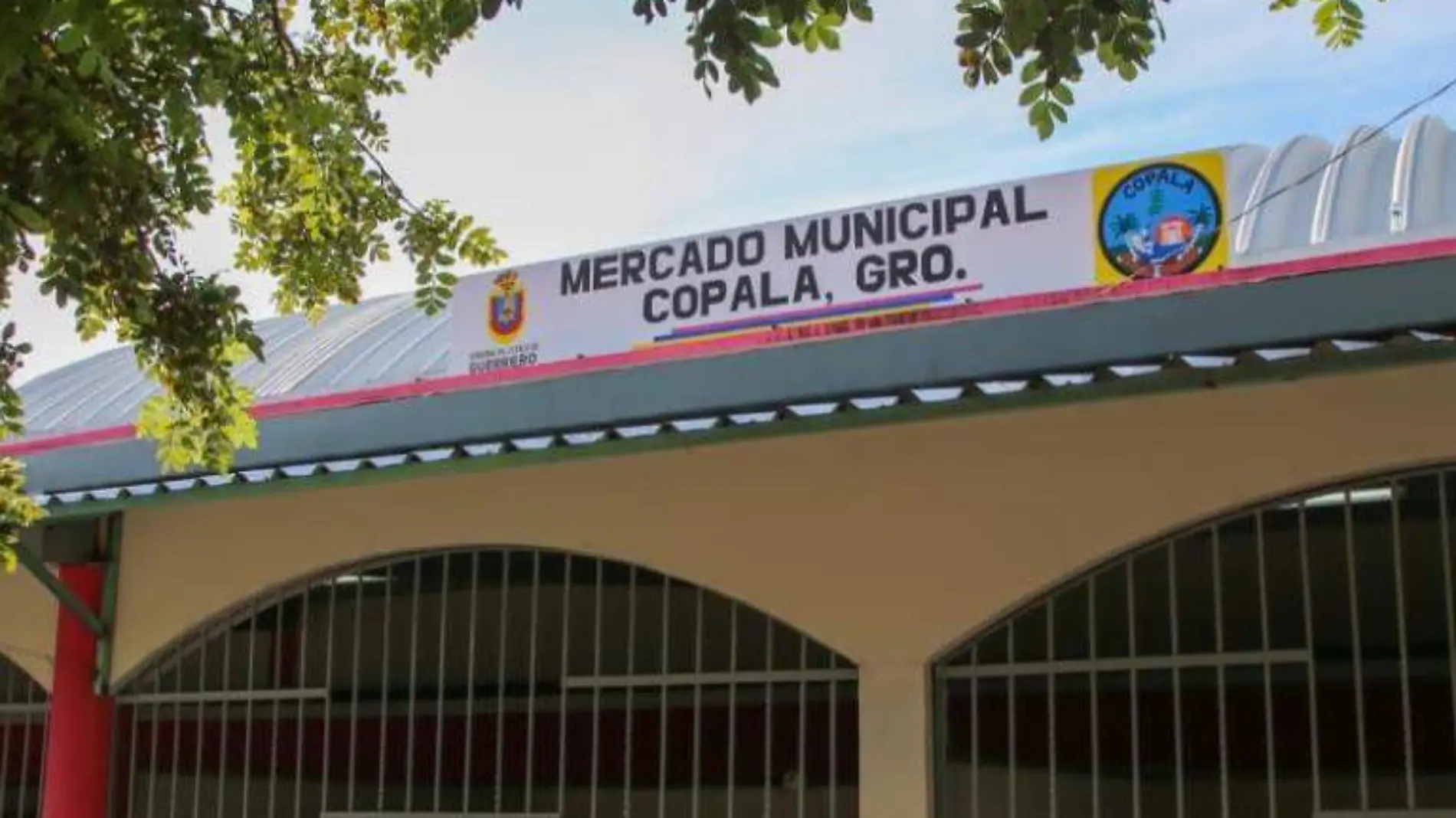 Mercado copala 